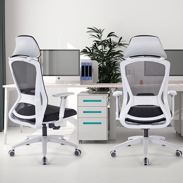 What Office Chair Do I Need?